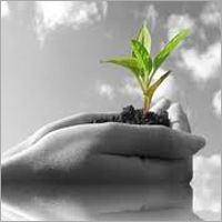 Agricultural Chemicals