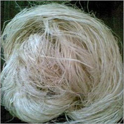 Banana Fiber