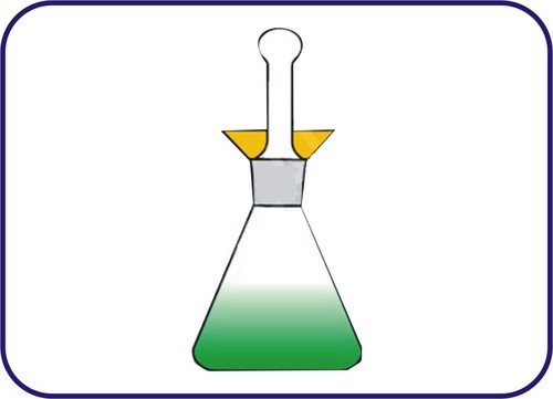 IODINE FLASK STOPPERED - Borosilicate Glass, 250ml/300ml/500ml, Clear | Ground Glass Stopper, Flat Bottom, Chemical Resistant, Autoclavable