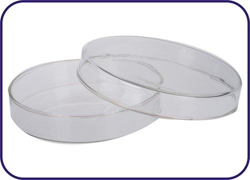 PETRI DISHES 305
