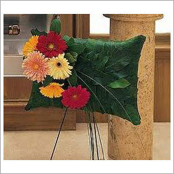 Gerbera Cut Flowers