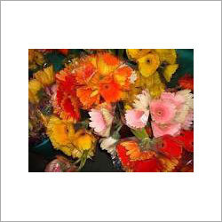 Flower Basket
