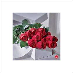 Cut Roses