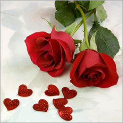 Fresh Red Roses