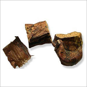 Dried Lungs