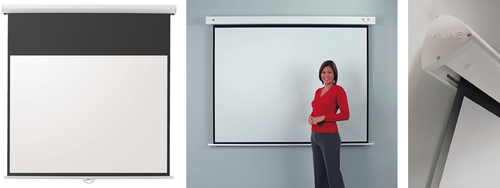 Wall Mount Screen