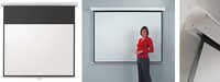 Wall Mount Screen