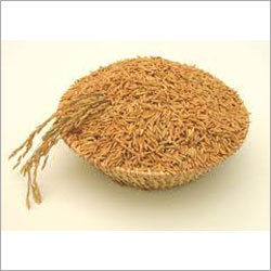 Rice Bran
