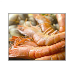Sea Food Testing