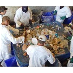 Waste Analysis