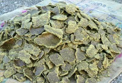 Groundnut Oil Cake
