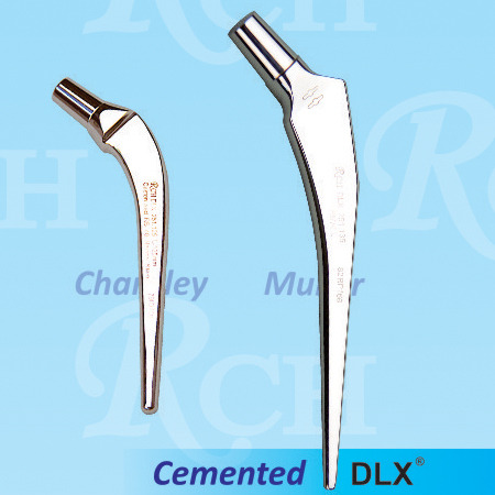 DLX Stem