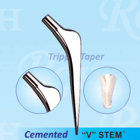 "V" Stem