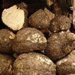 Yam