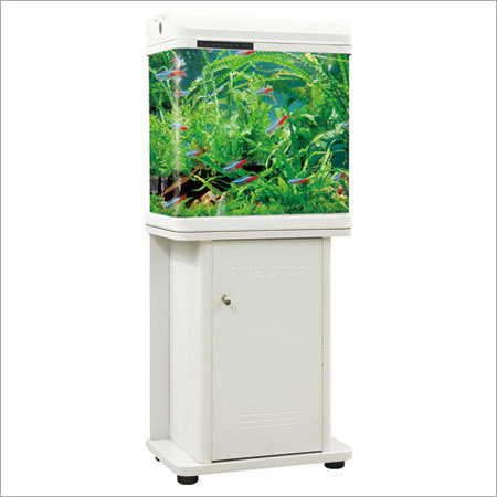 Designer Aquarium