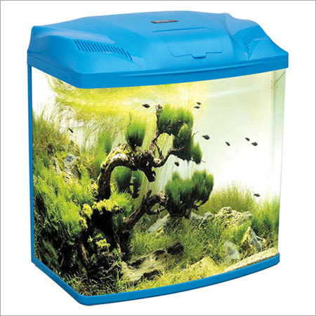 Glass Aquariums