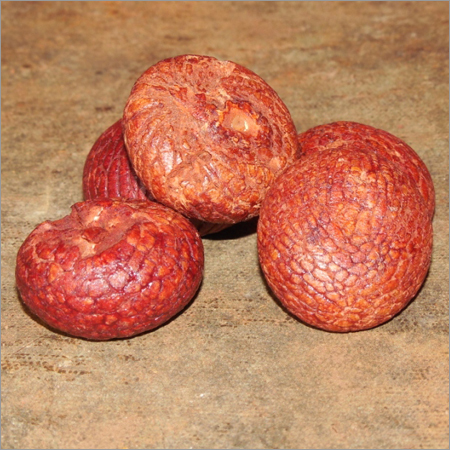 Areca Nut