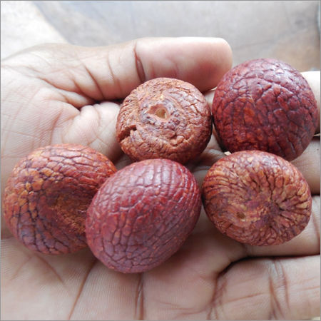 Common Areca Nuts