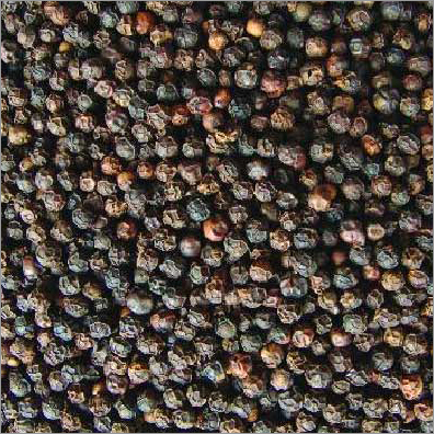 Black Pepper