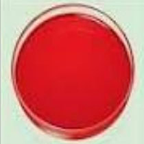Oil Red Pigment