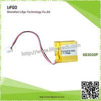 Lithium Ion Polymer Battery