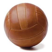 Leather Footballs