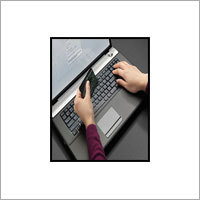 Bank Fraud Investigator