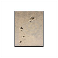 Missing Persons Investigation