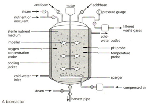 Fermentation Design Technology - Fermentation Design Technology ...