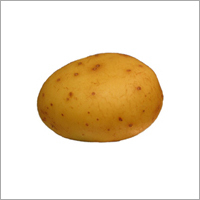 Fresh Potatoes