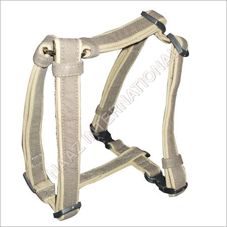 Dog Accessories