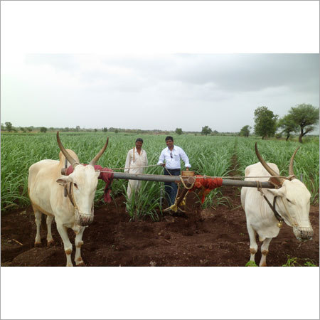 Organic Agricultural Chemicals