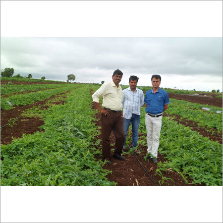 Agricultural Pesticides