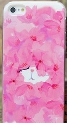 iphone 5 colour decoration cover