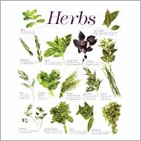 Herbs - Organic Dried Herbs, Sealed Bags | Sustainable Sourcing, Variety, Nutritional Value