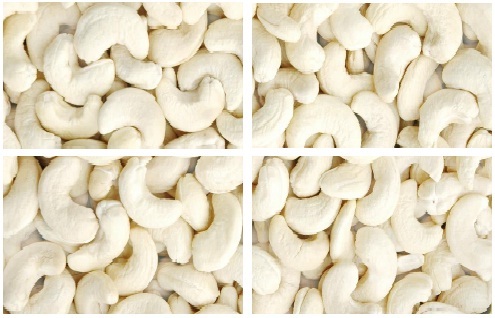 Raw Cashew Nuts