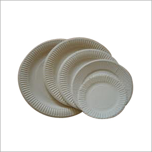 Bithday Disposable Plates