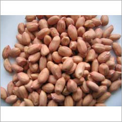Fresh Peanut