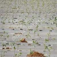 Agricultural Mulching Films - LDPE, 50-200 m Length, 600-1800 mm Width | Moisture Proof, UV-Resistant, High Strength