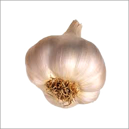 Farm Fresh Garlic