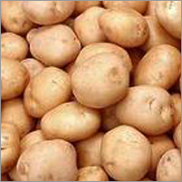 Farm Fresh Potato