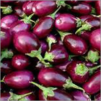 Fresh Brinjal