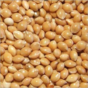 Yellow Millet