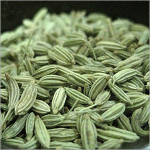 Fennel Seed