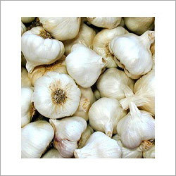 Fresh Indian Garlic