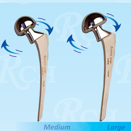 Fix Bipolar Prosthesis