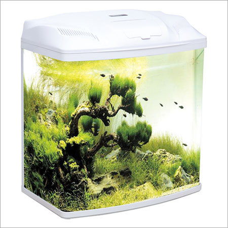 Mini Aquarium