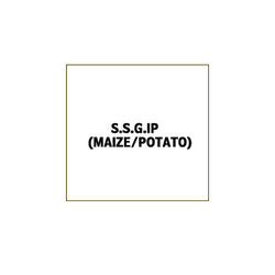 S.S.G.IP (Maize)
