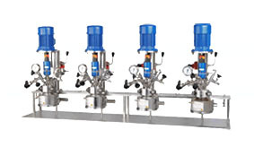 Multiple Stirred Autoclave System