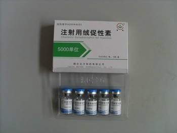 Human Chorionic Gonadotropin
